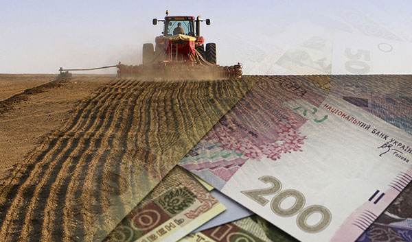 Кутовий анонсував програму держпідтримки аграріїв на 1 гектар у 2017 році 